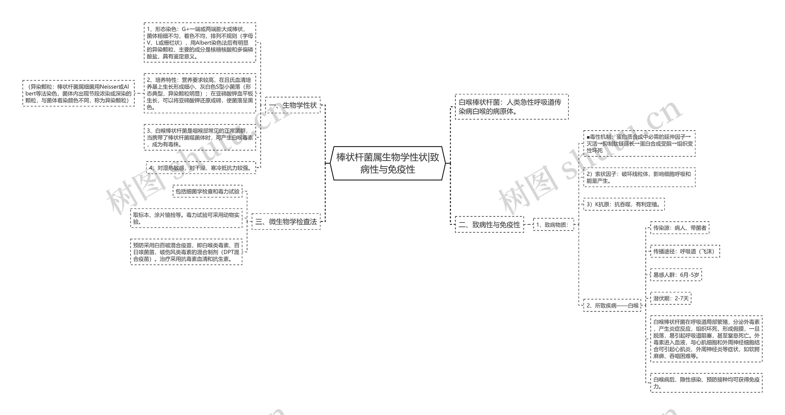 棒状杆菌属生物学性状|致病性与免疫性思维导图