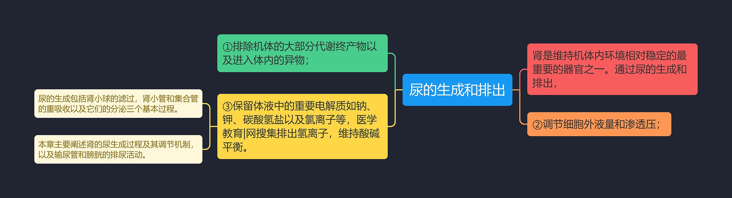 尿的生成和排出 尿的生成和排出