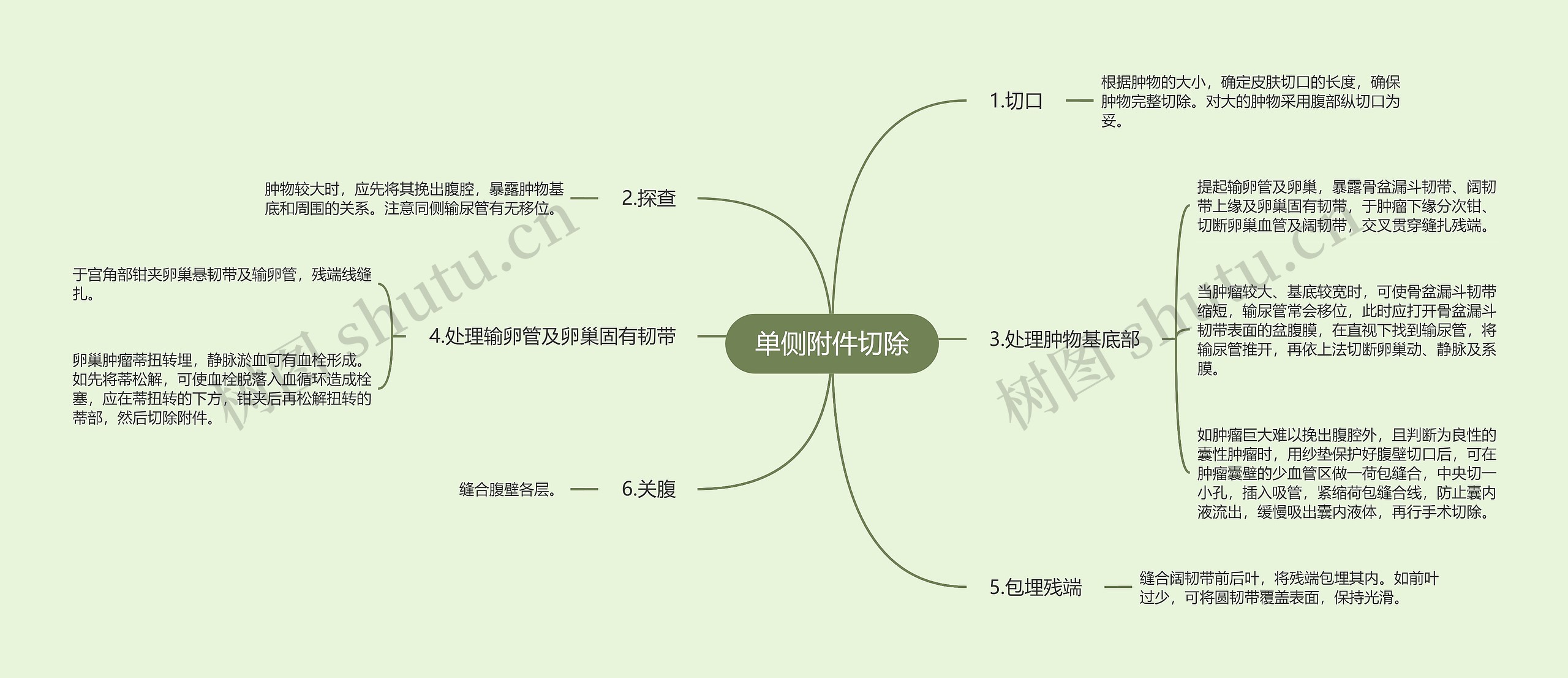 单侧附件切除