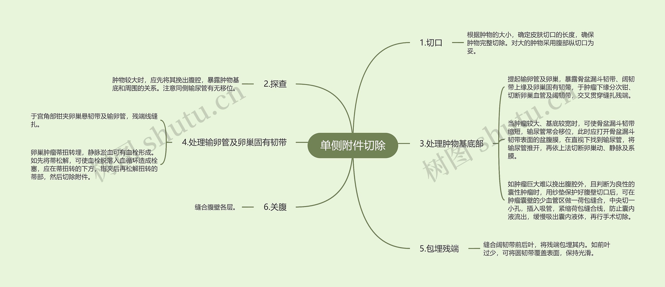 单侧附件切除思维导图