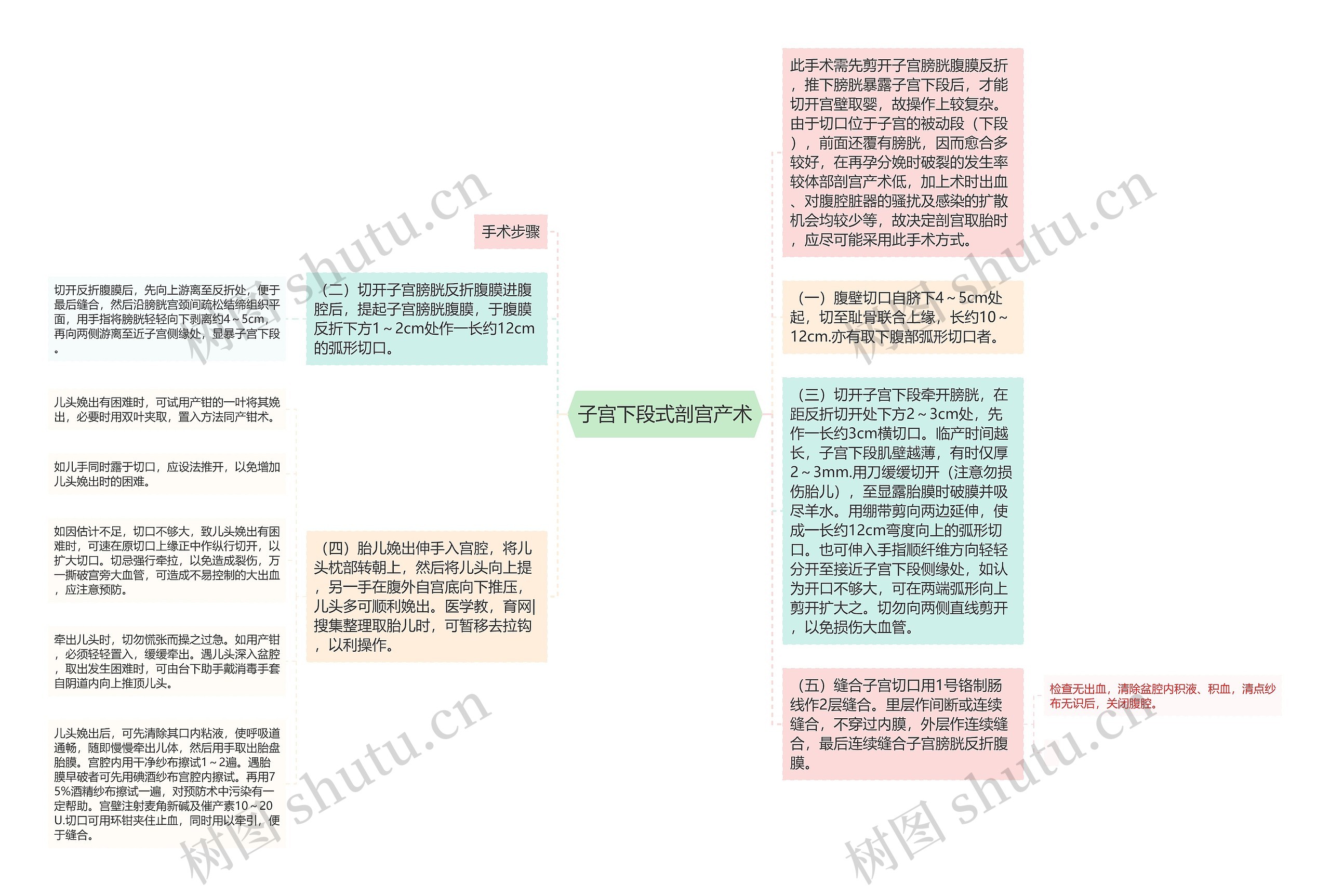 子宫下段式剖宫产术思维导图