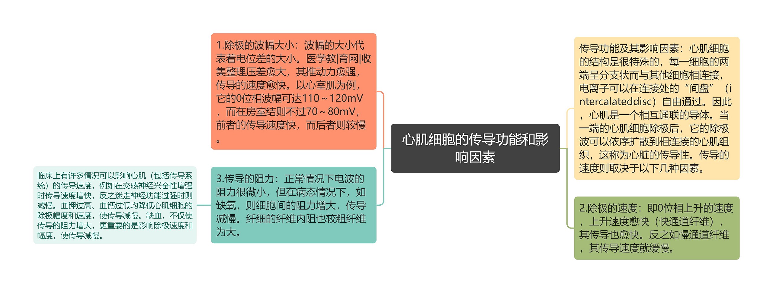 心肌细胞的传导功能和影响因素思维导图