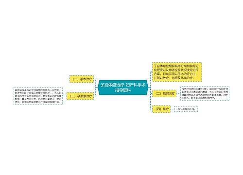 子宫体癌治疗-妇产科手术指导资料