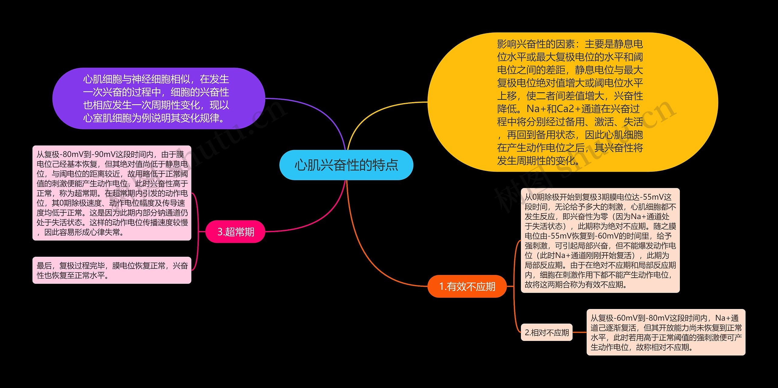 心肌兴奋性的特点思维导图