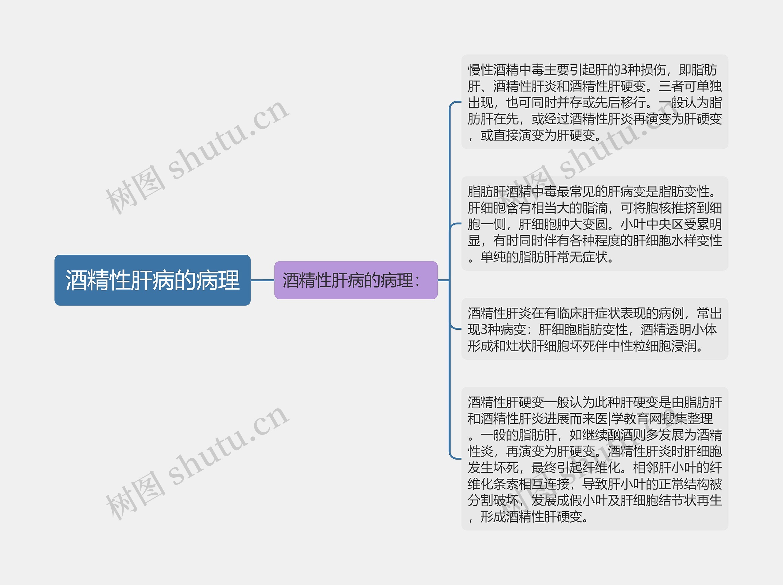 酒精性肝病的病理