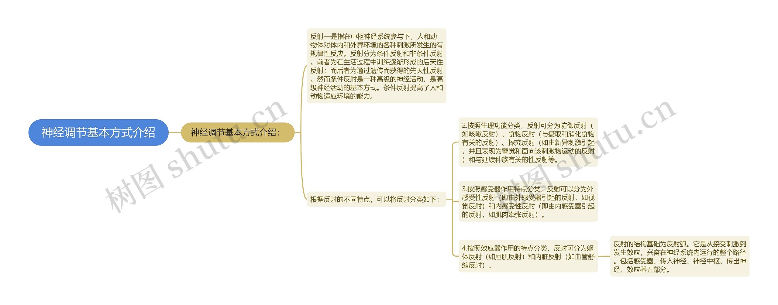 神经调节基本方式介绍