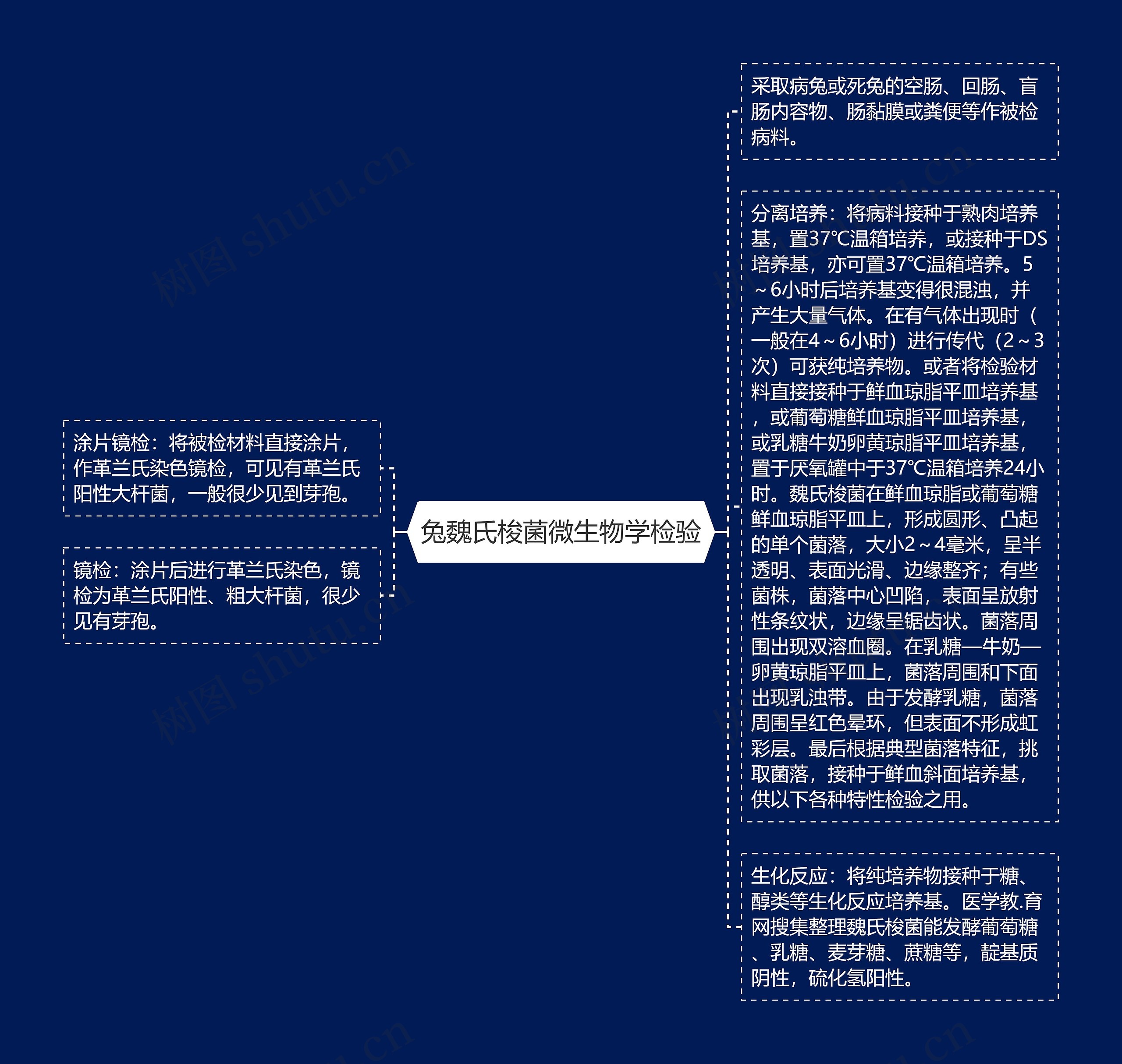 兔魏氏梭菌微生物学检验思维导图高清图 兔魏氏梭菌微生物学检验思维导图