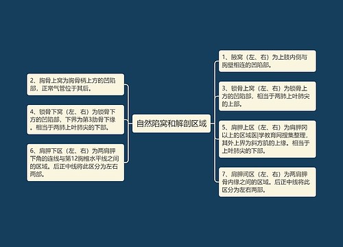 自然陷窝和解剖区域