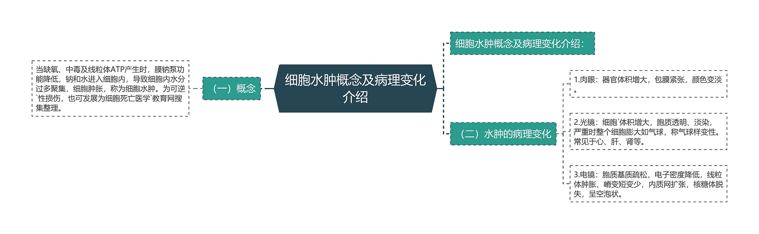 细胞水肿概念及病理变化介绍思维导图