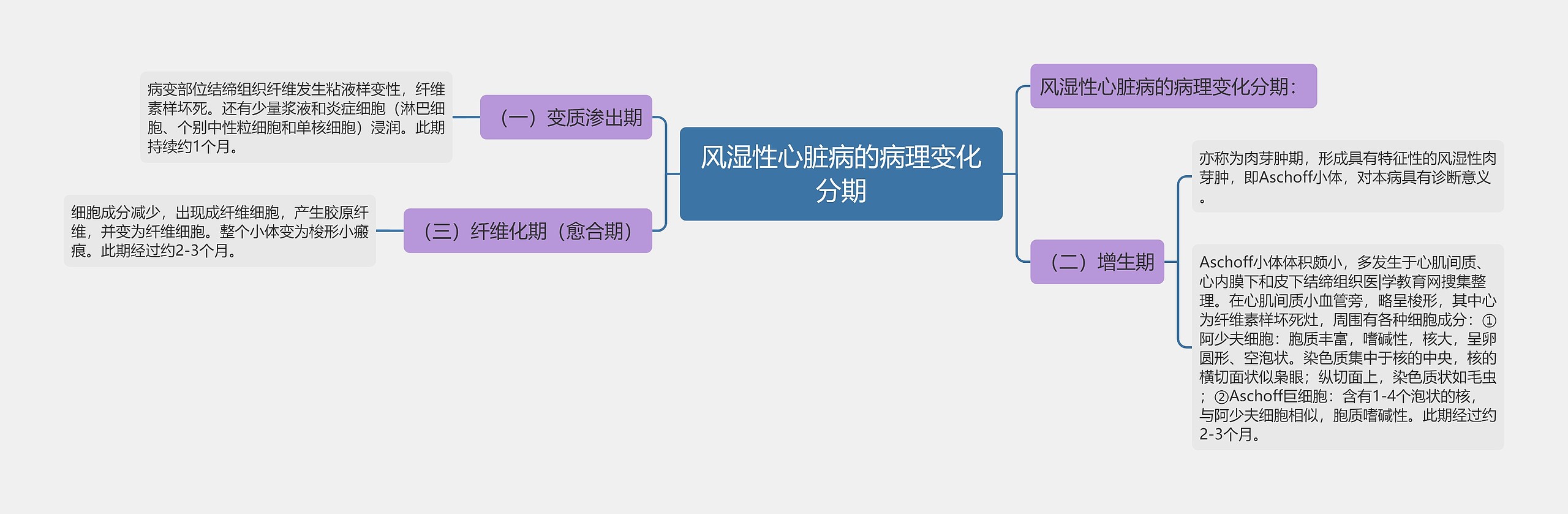 风湿性心脏病的病理变化分期