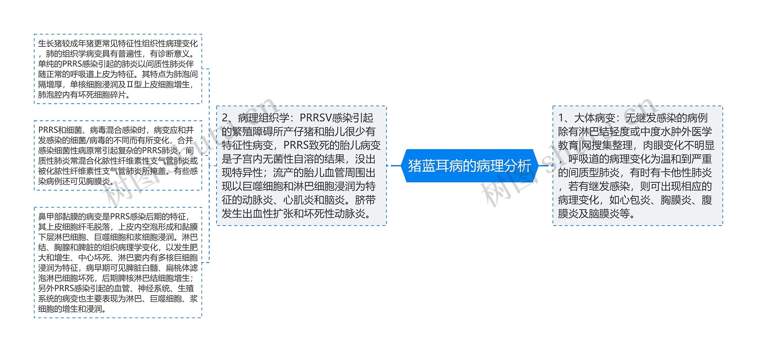 猪蓝耳病的病理分析 猪蓝耳病的病理分析