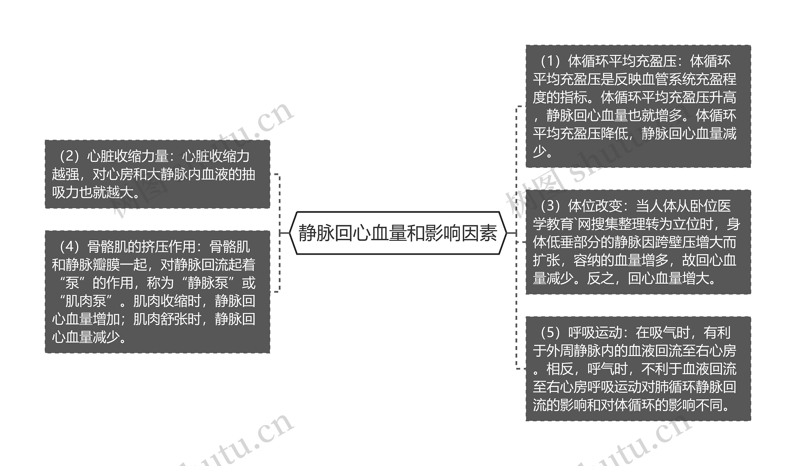 静脉回心血量和影响因素思维导图