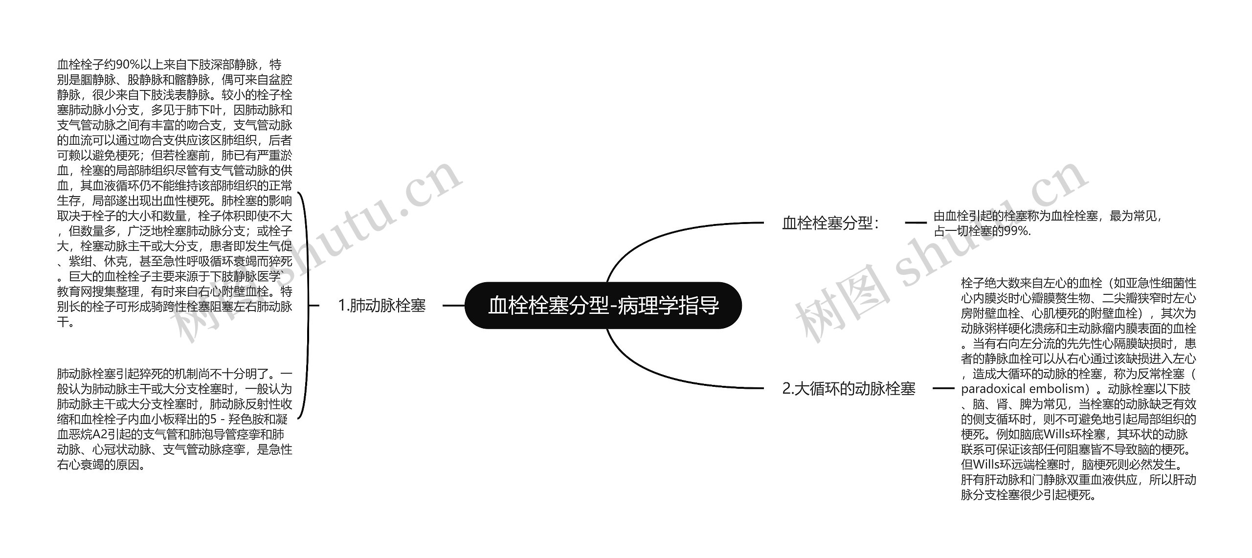 血栓栓塞分型-病理学指导