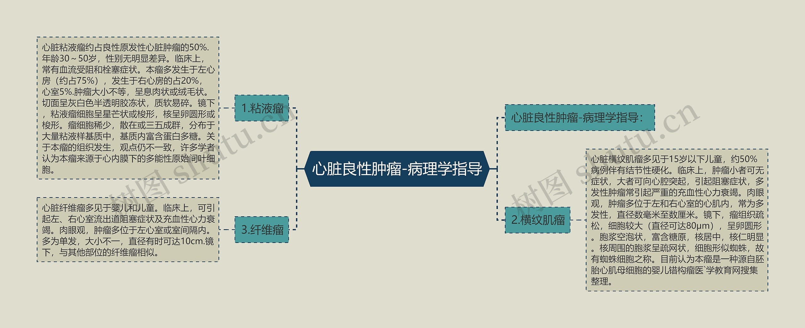 心脏良性肿瘤-病理学指导