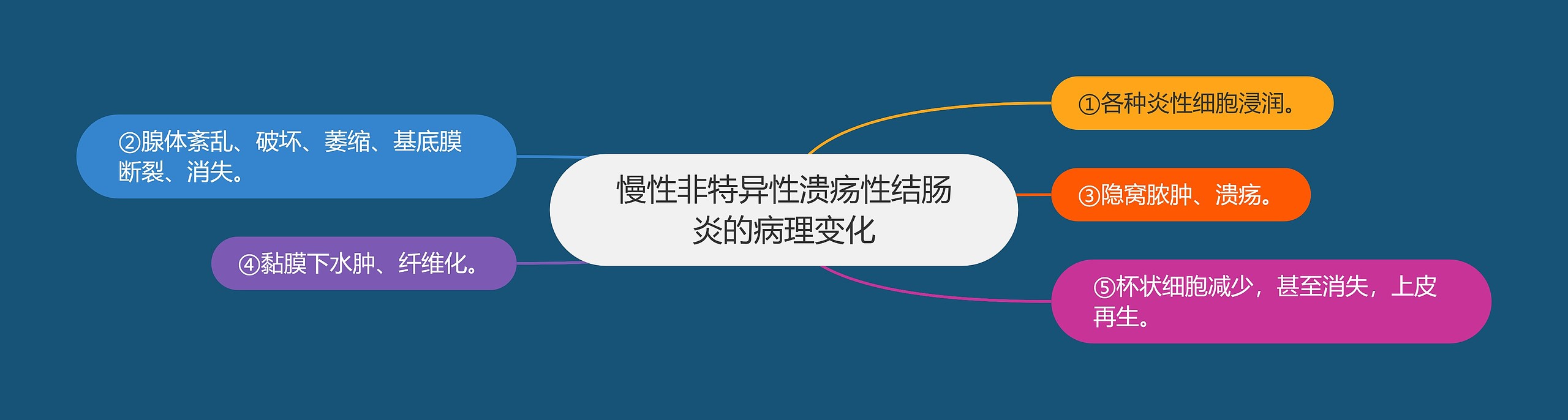 慢性非特异性溃疡性结肠炎的病理变化