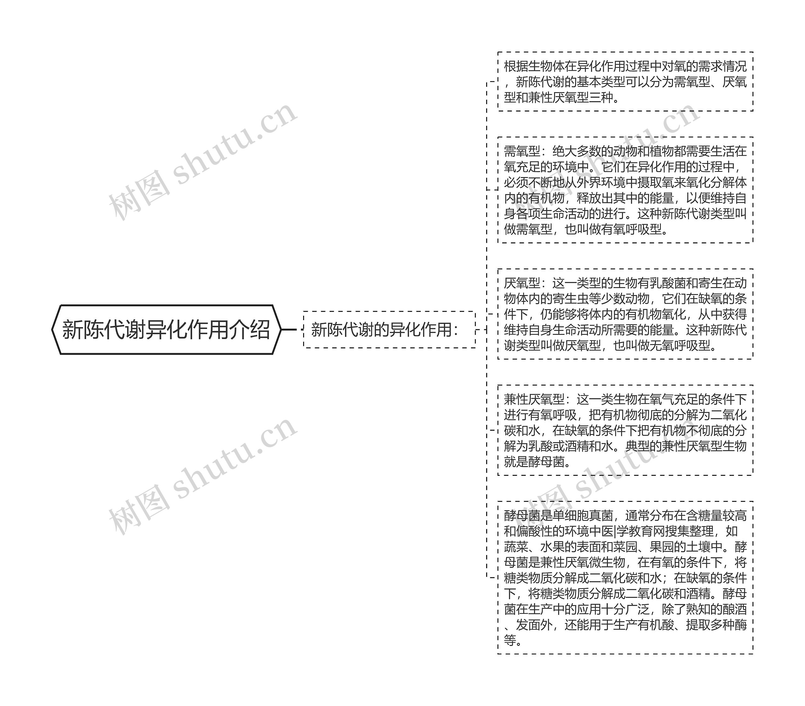 新陈代谢异化作用介绍思维导图