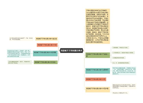 宫腔镜下子宫纵膈分离术