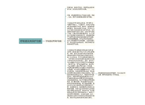 呼吸道及其保护功能