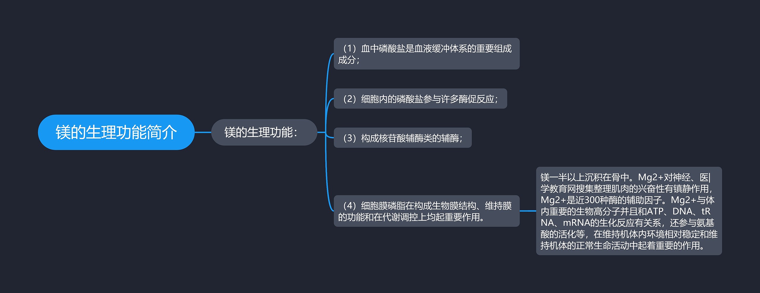 镁的生理功能简介