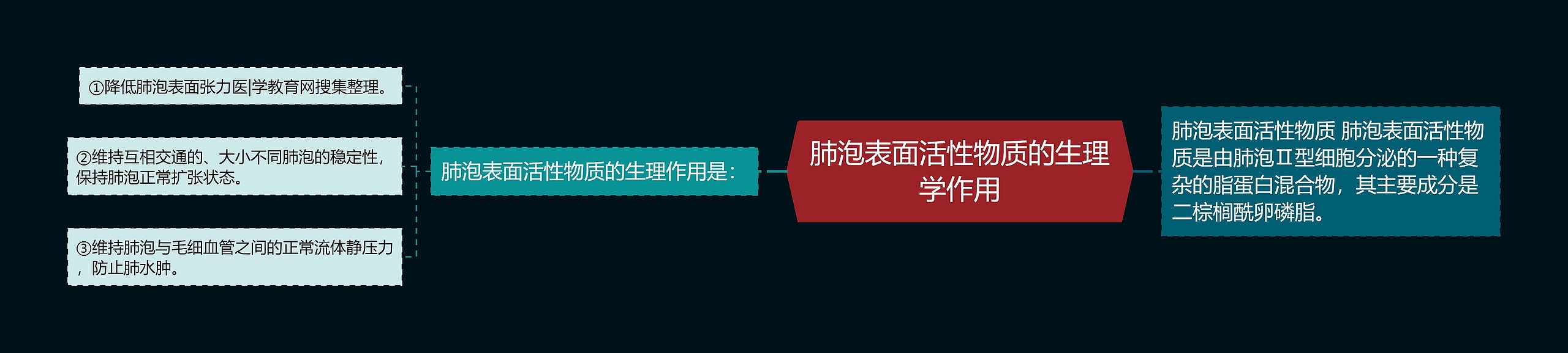 肺泡表面活性物质的生理学作用