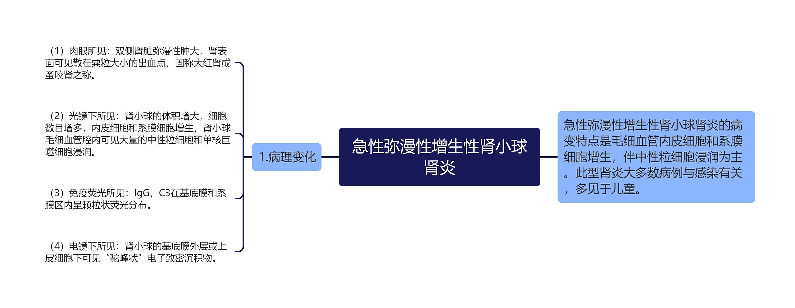 急性弥漫性增生性肾小球肾炎思维导图