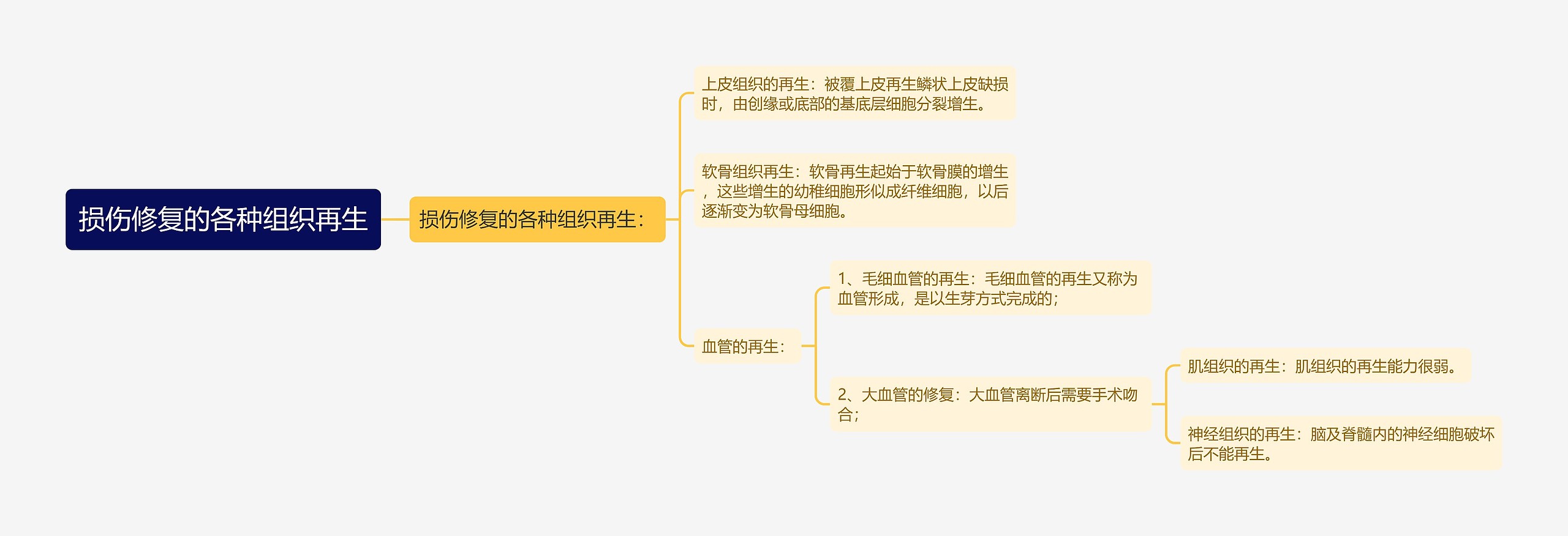 损伤修复的各种组织再生思维导图