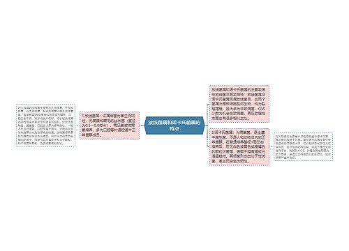 放线菌属和诺卡氏菌属的特点