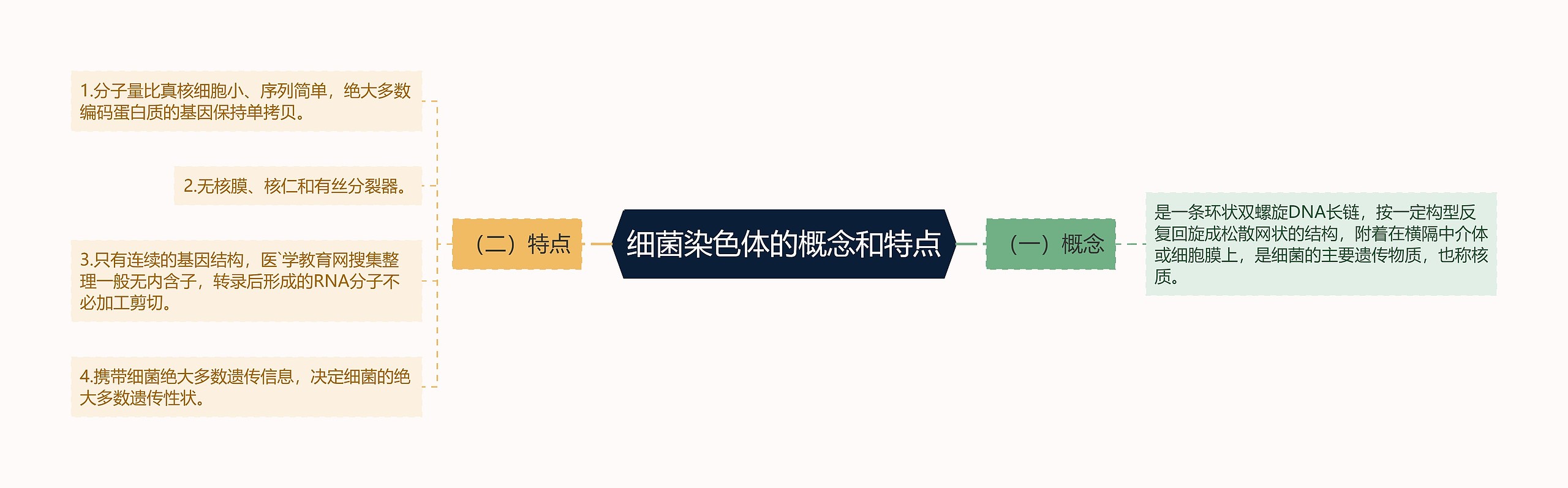 细菌染色体的概念和特点 细菌染色体的概念和特点