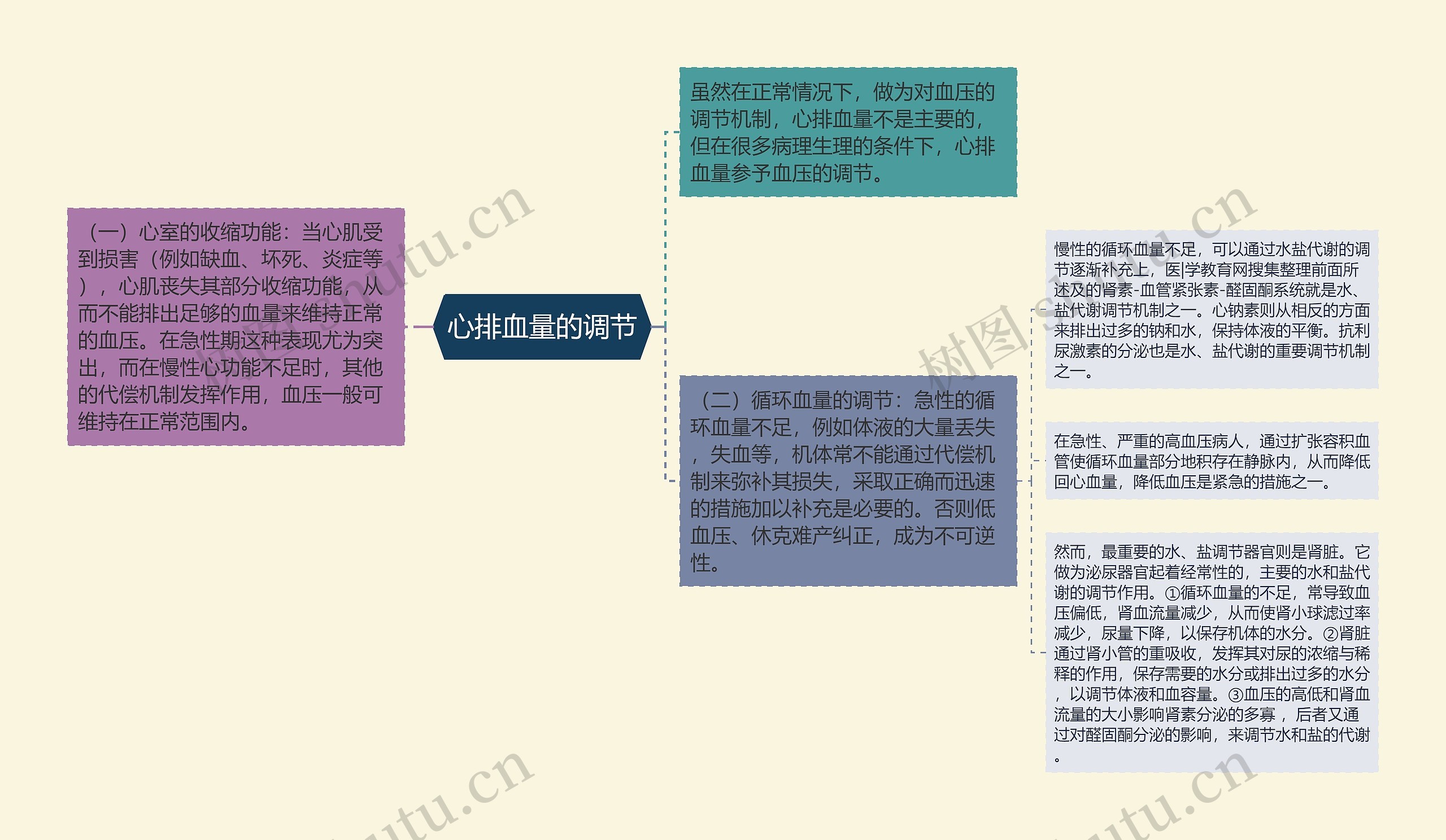 心排血量的调节思维导图