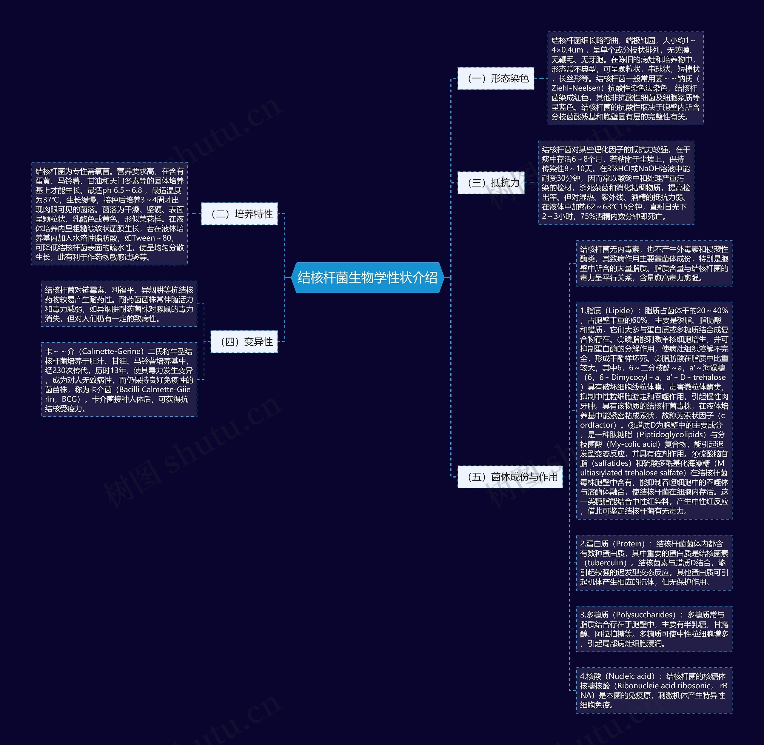 结核杆菌生物学性状介绍思维导图