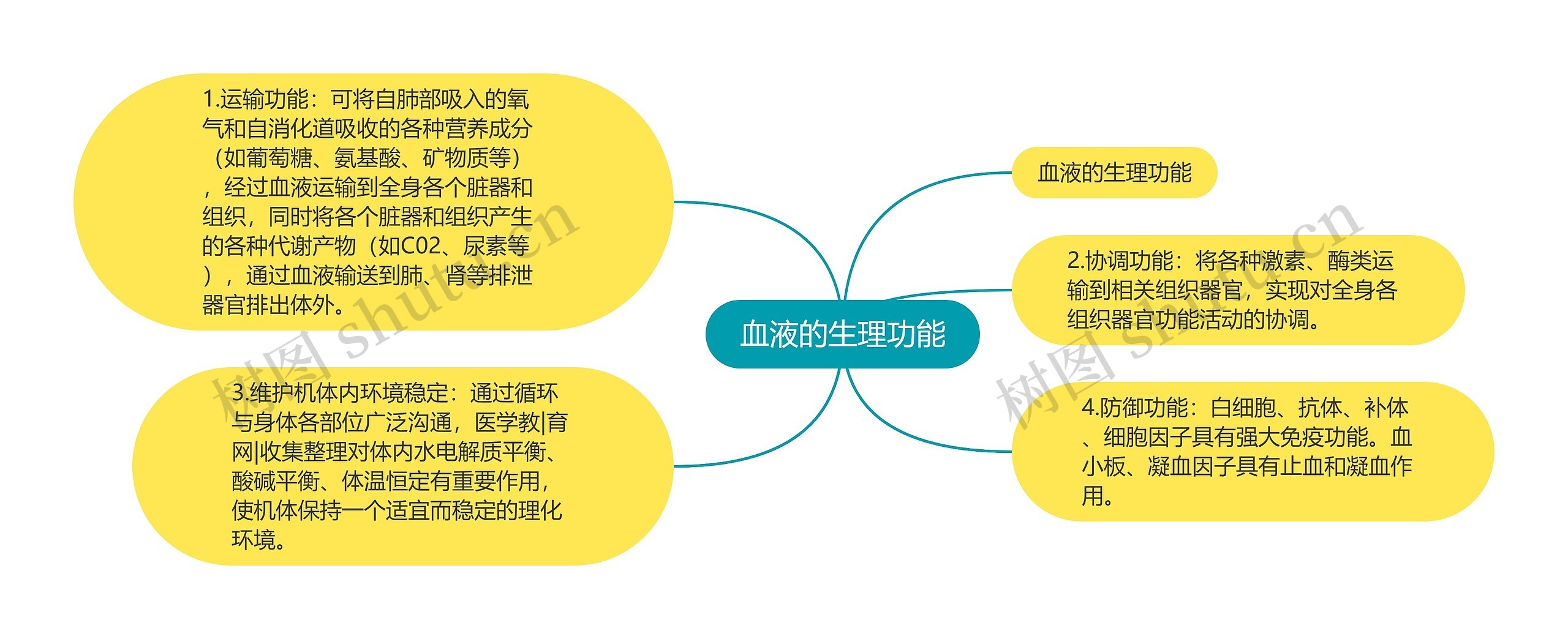 血液的生理功能 血液的生理功能