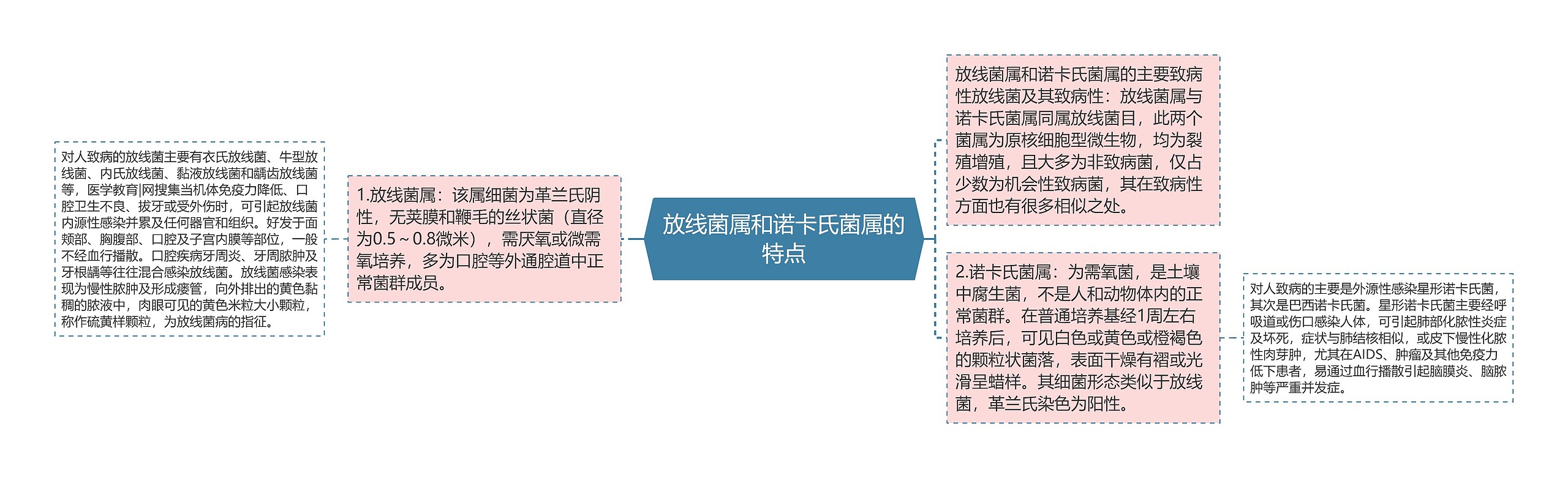 放线菌属和诺卡氏菌属的特点