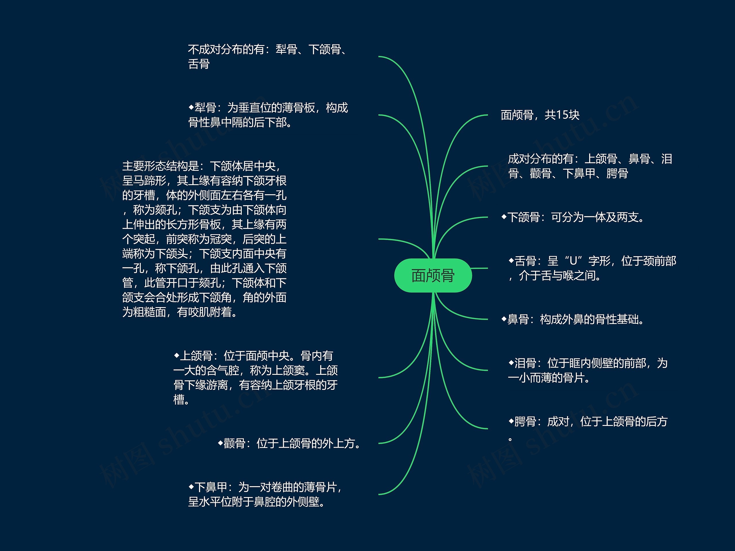 面颅骨思维导图