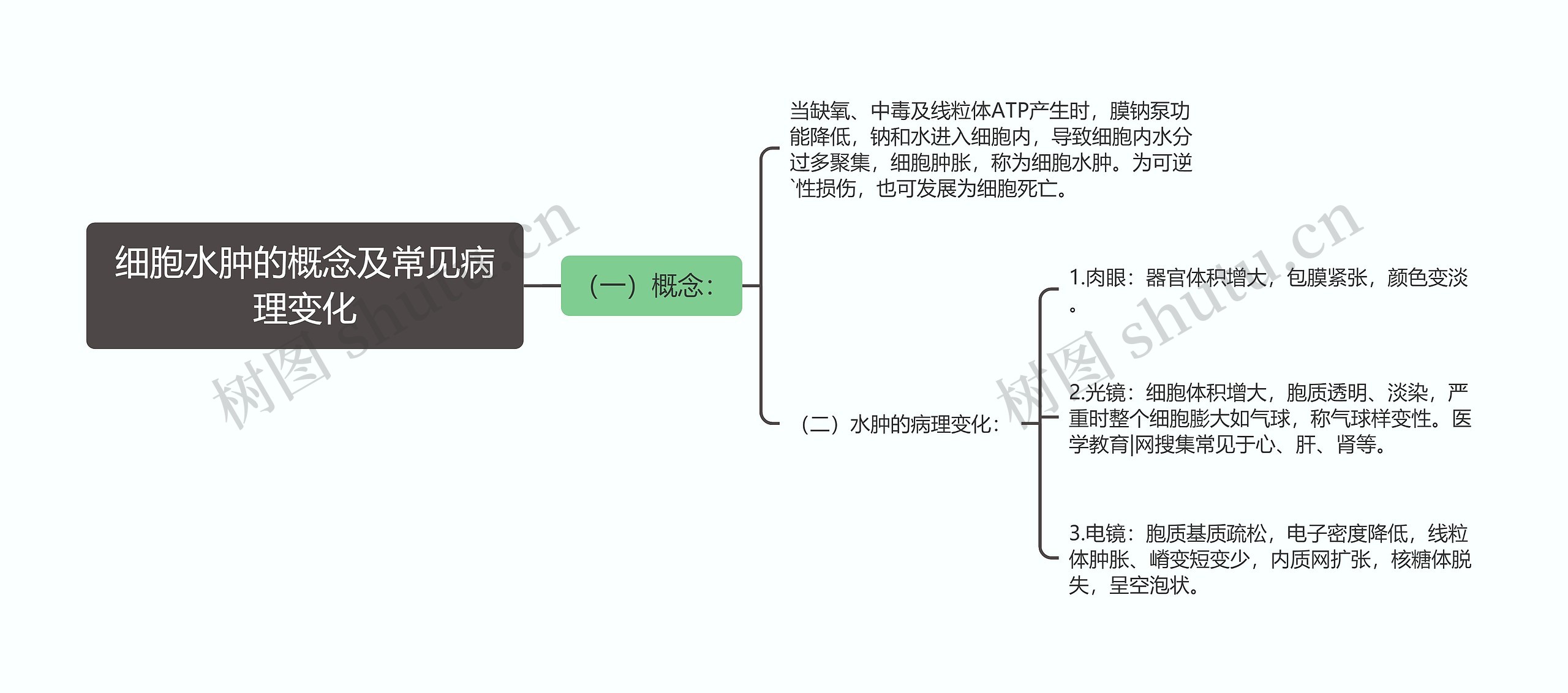 细胞水肿的概念及常见病理变化思维导图