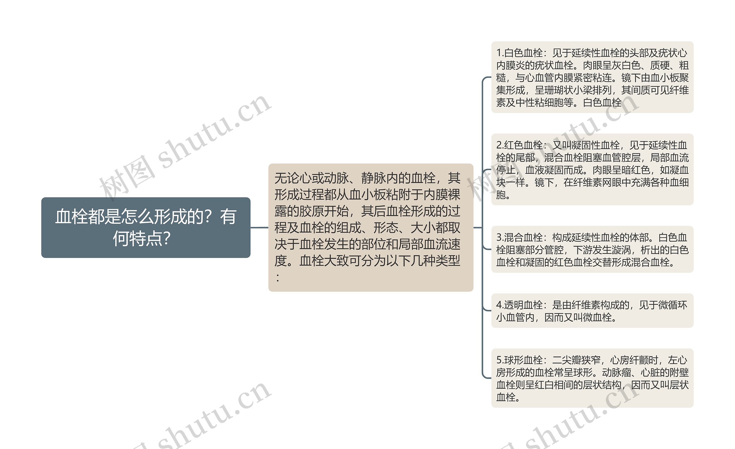 血栓都是怎么形成的?有何特点? 血栓都是怎么形成的?有何特点?