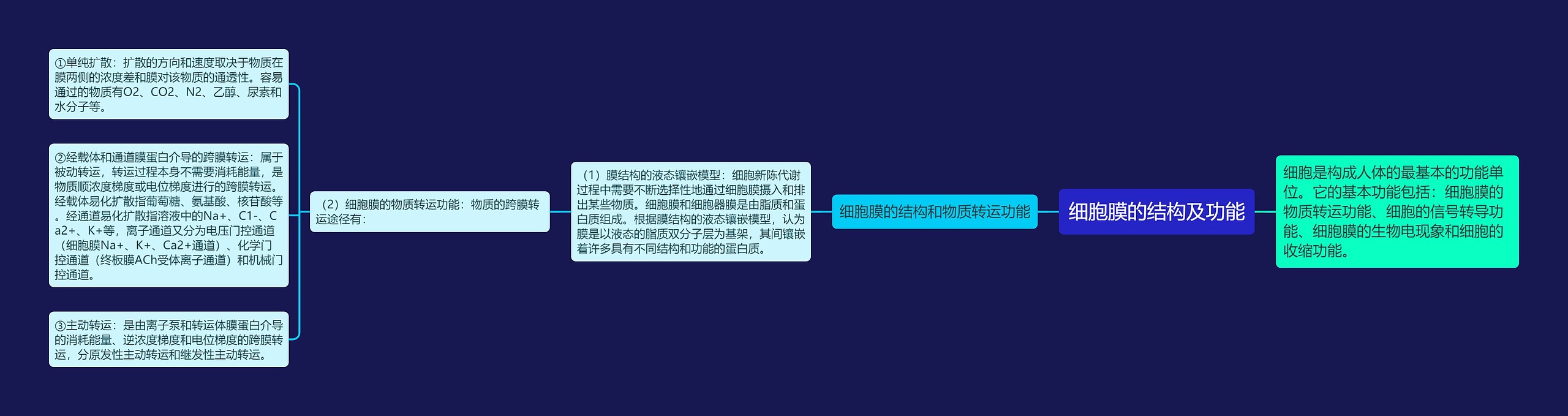 细胞膜的结构及功能 细胞膜的结构及功能