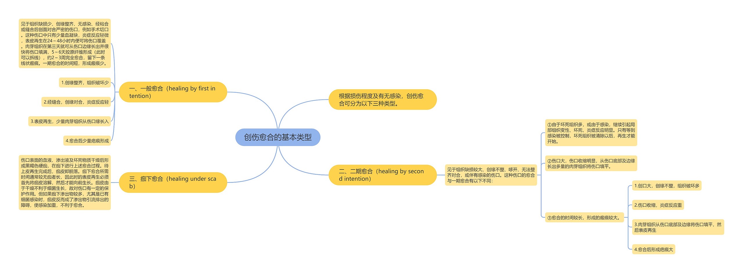 创伤愈合的基本类型