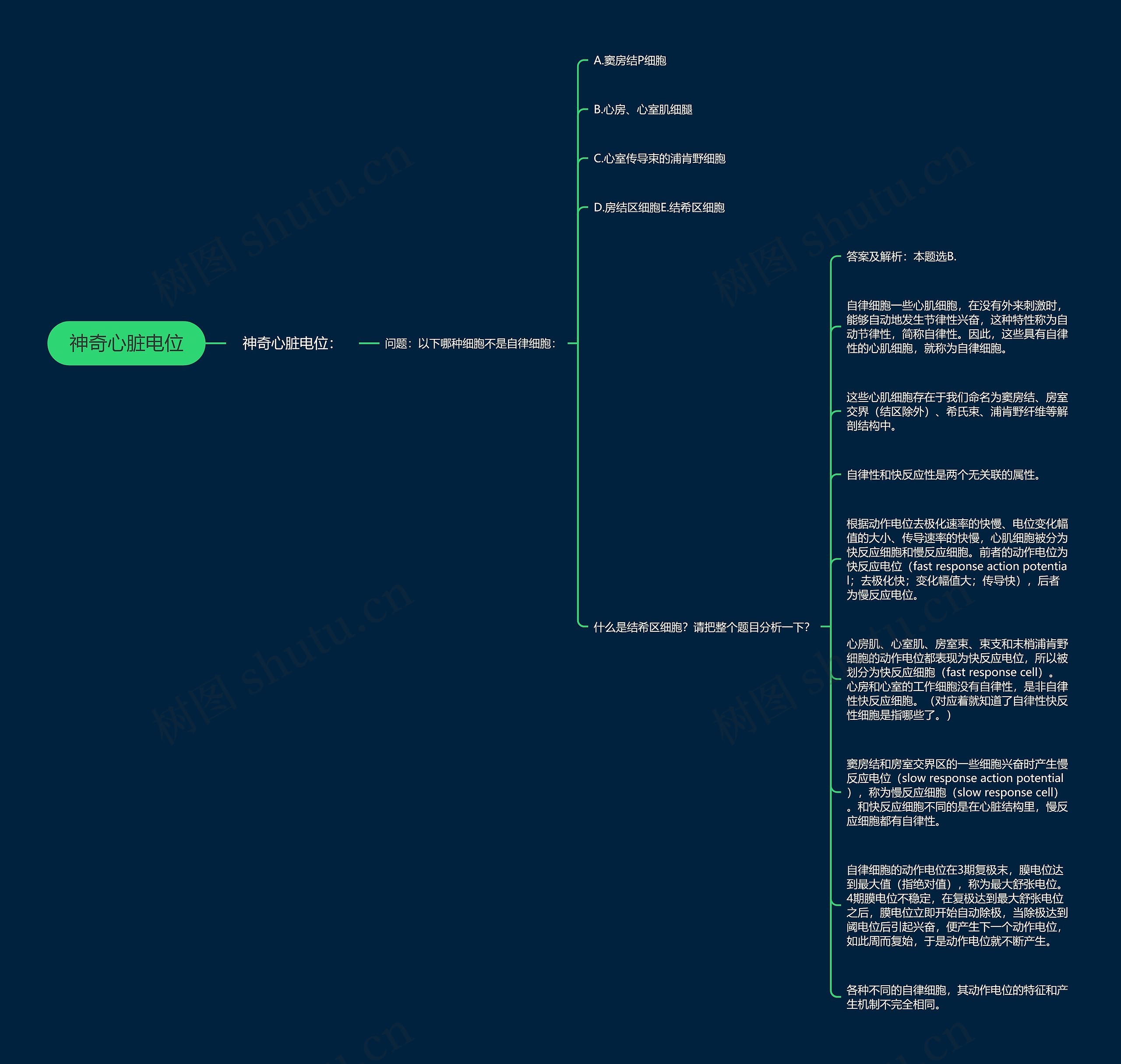 神奇心脏电位思维导图