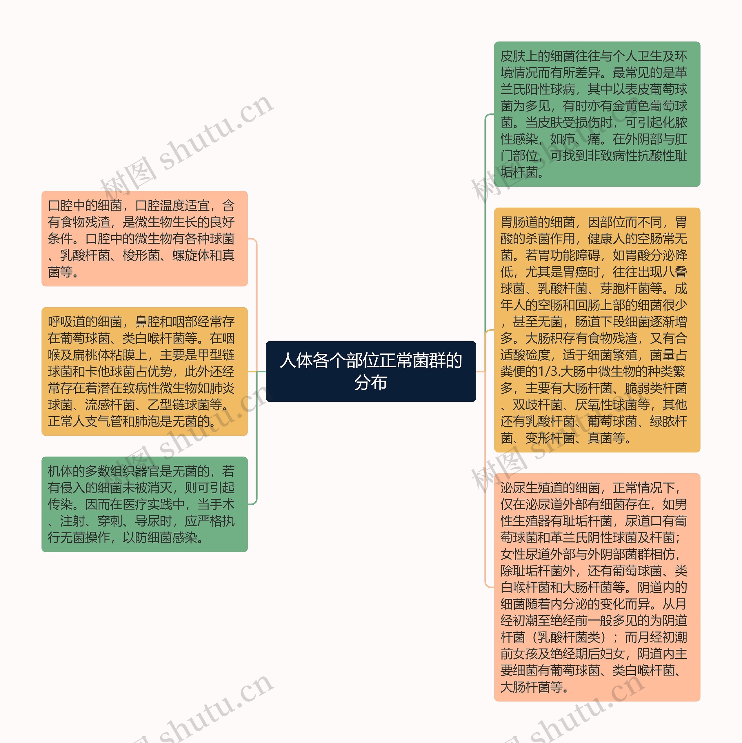 人体各个部位正常菌群的分布