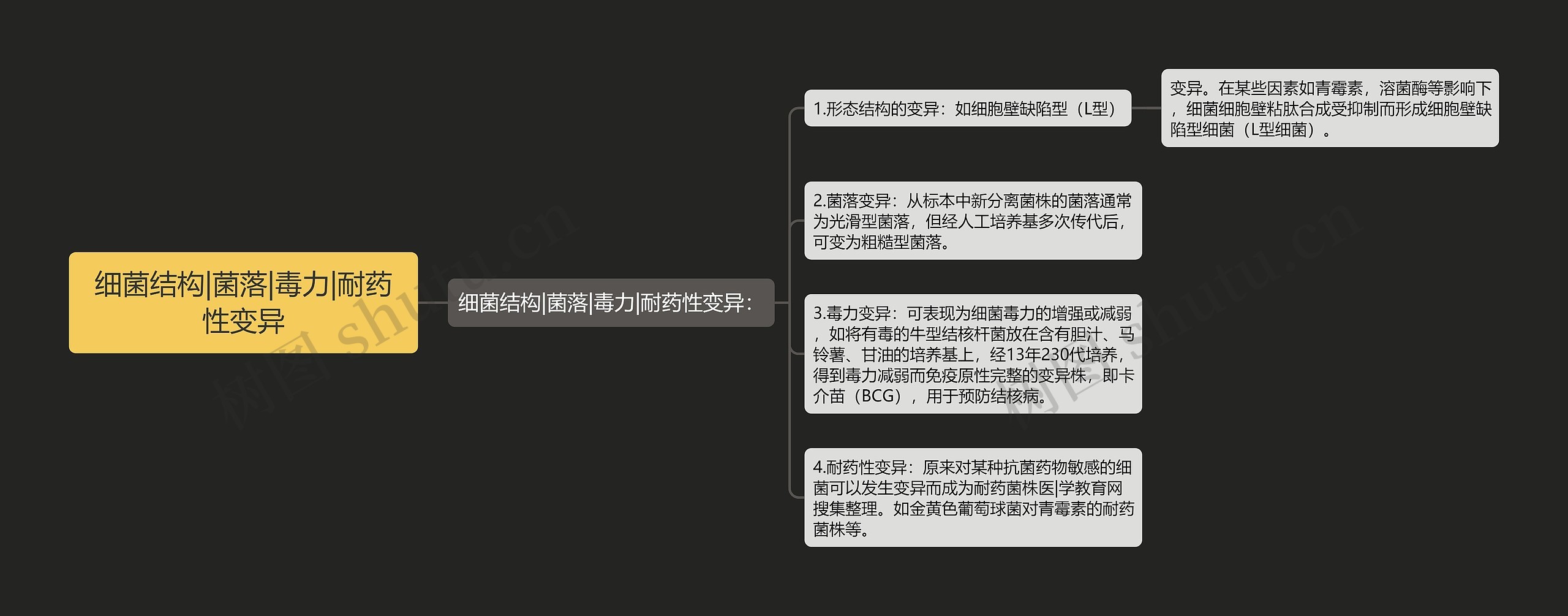 细菌结构|菌落|毒力|耐药性变异 细菌结构|菌落|毒力|耐药性变异