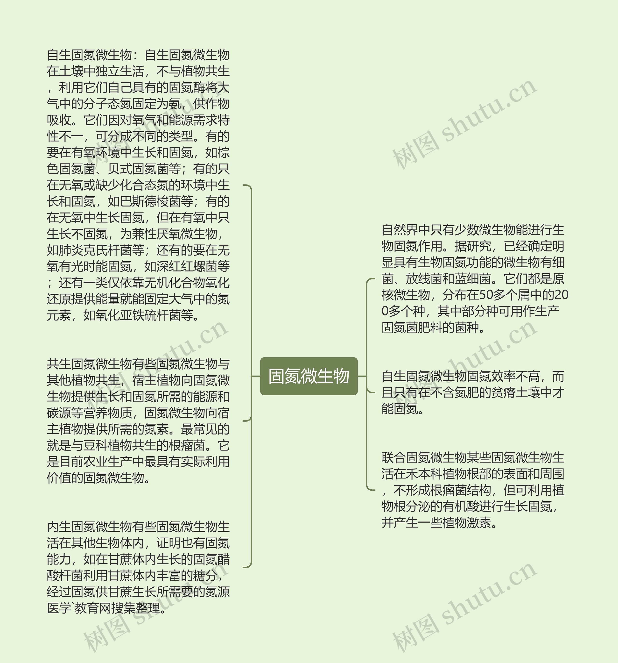 固氮微生物