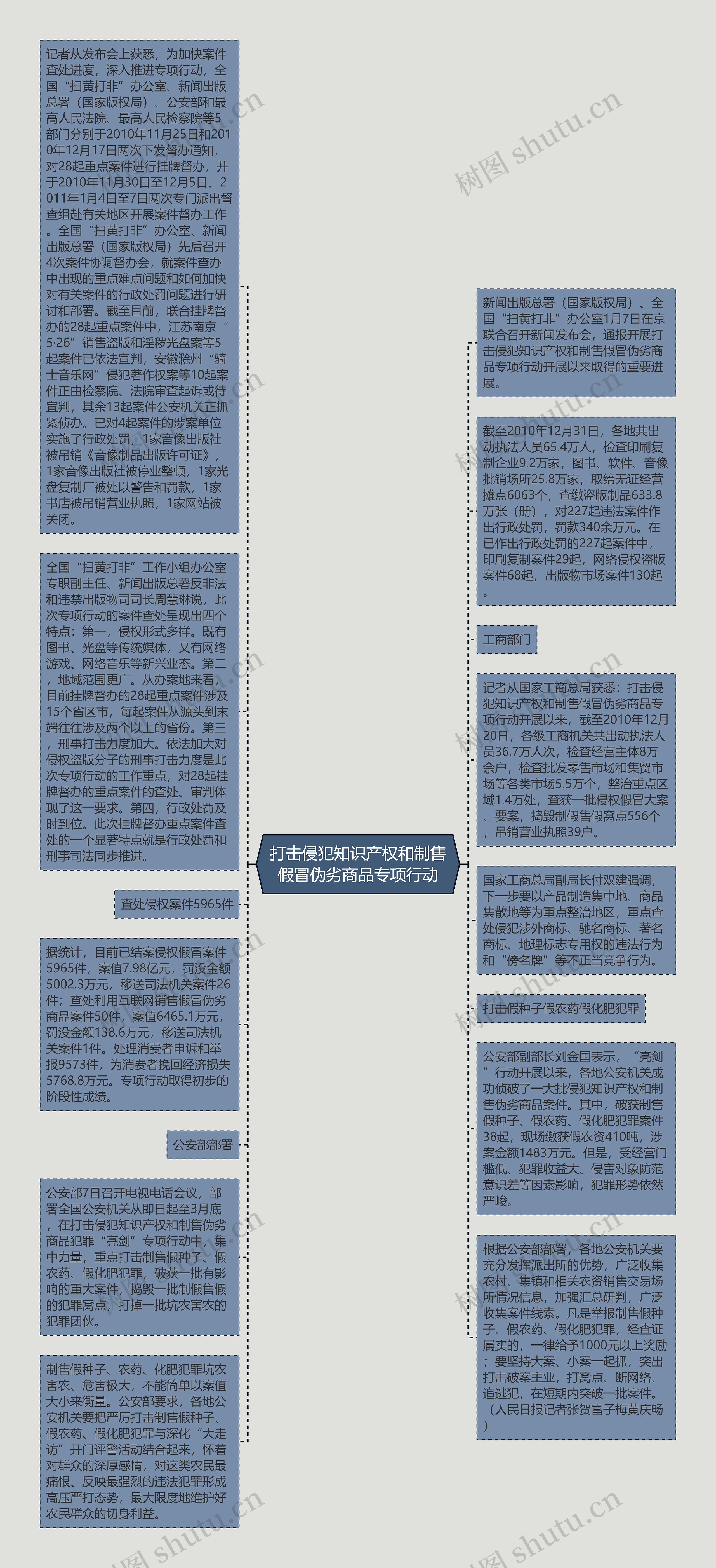 打击侵犯知识产权和制售假冒伪劣商品专项行动