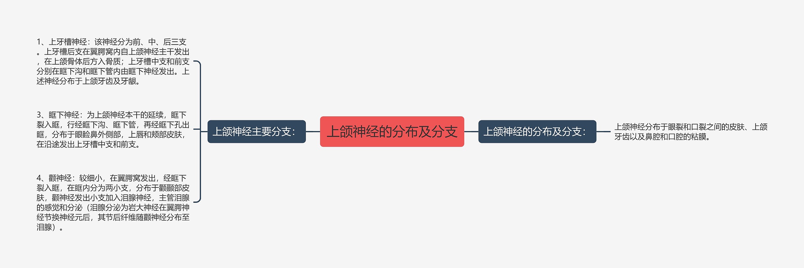 上颌神经的分布及分支思维导图