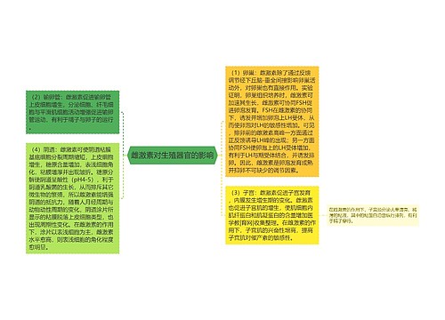 雌激素对生殖器官的影响