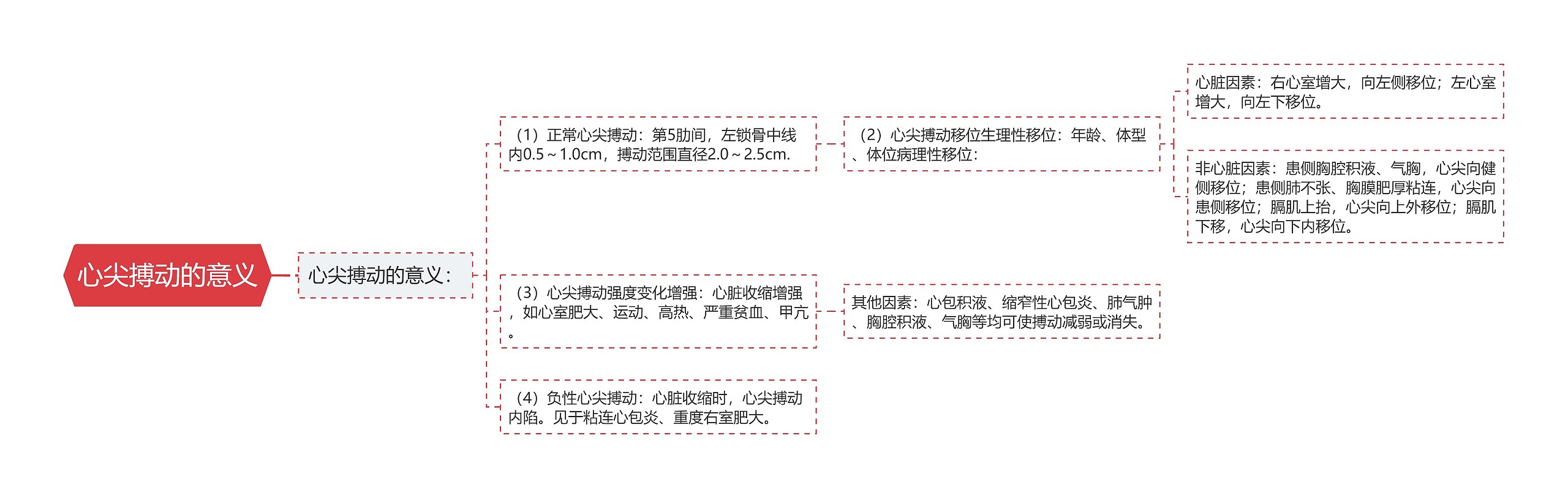 心尖搏动的意义