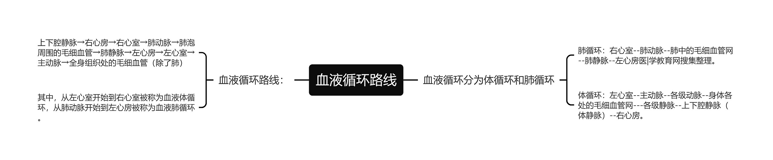 血液循环路线