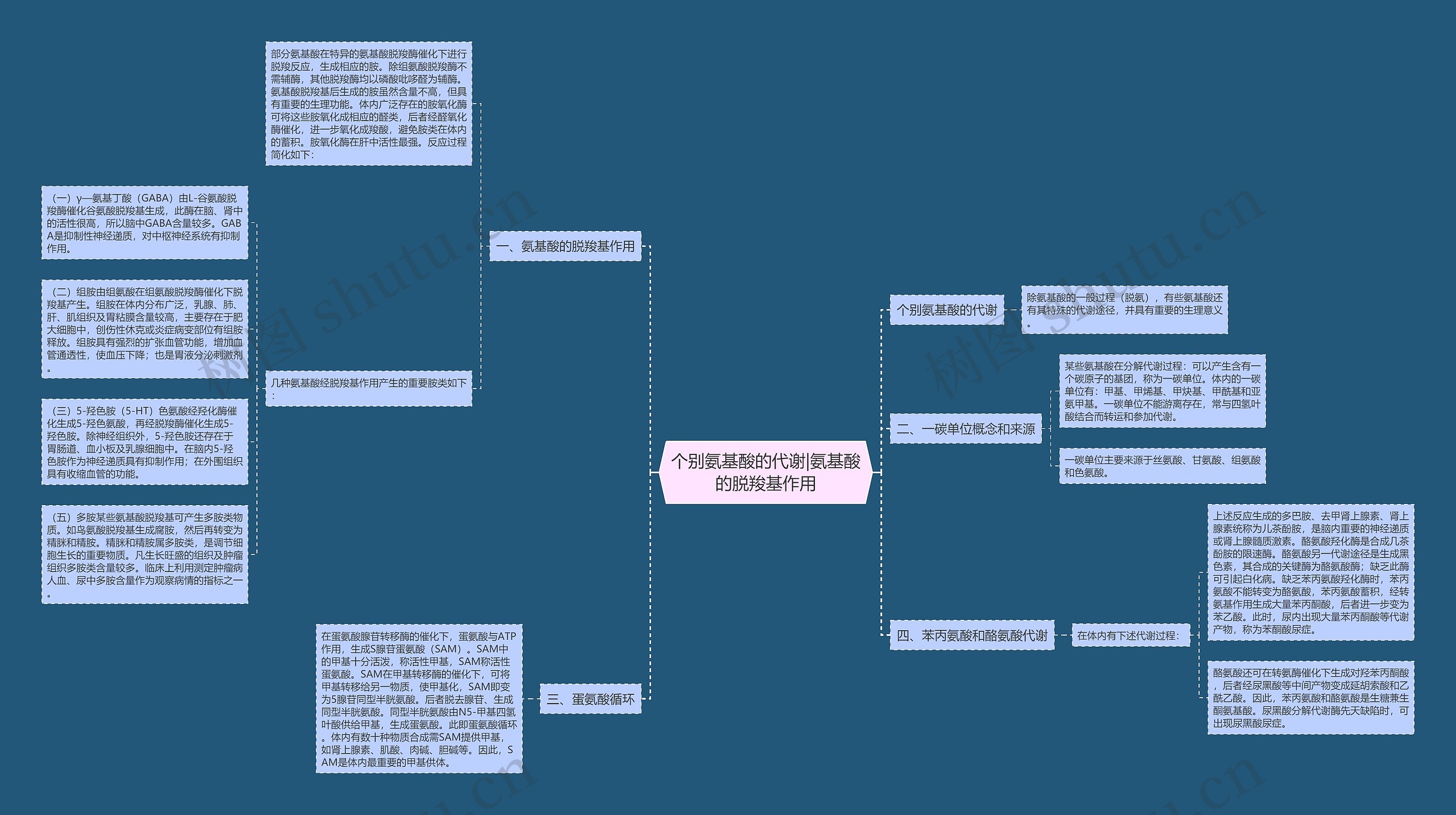 个别氨基酸的代谢|氨基酸的脱羧基作用思维导图