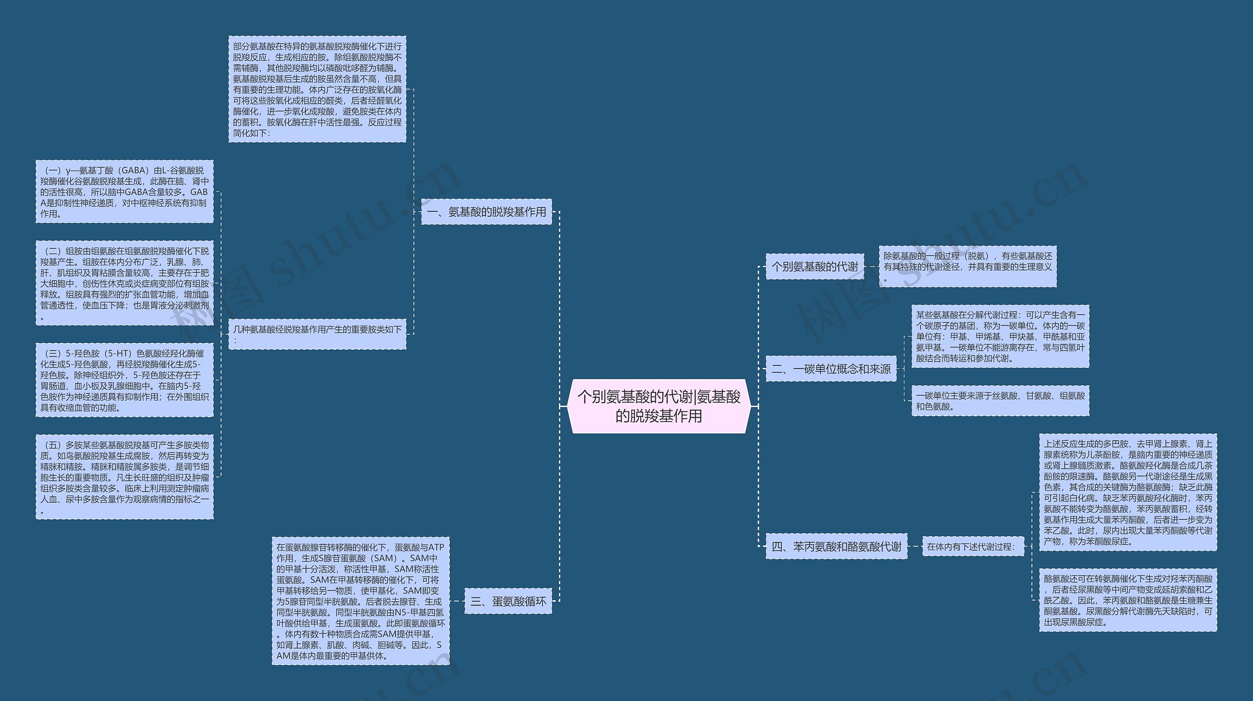 个别氨基酸的代谢|氨基酸的脱羧基作用 个别氨基酸的代谢|氨基酸的脱羧基作用