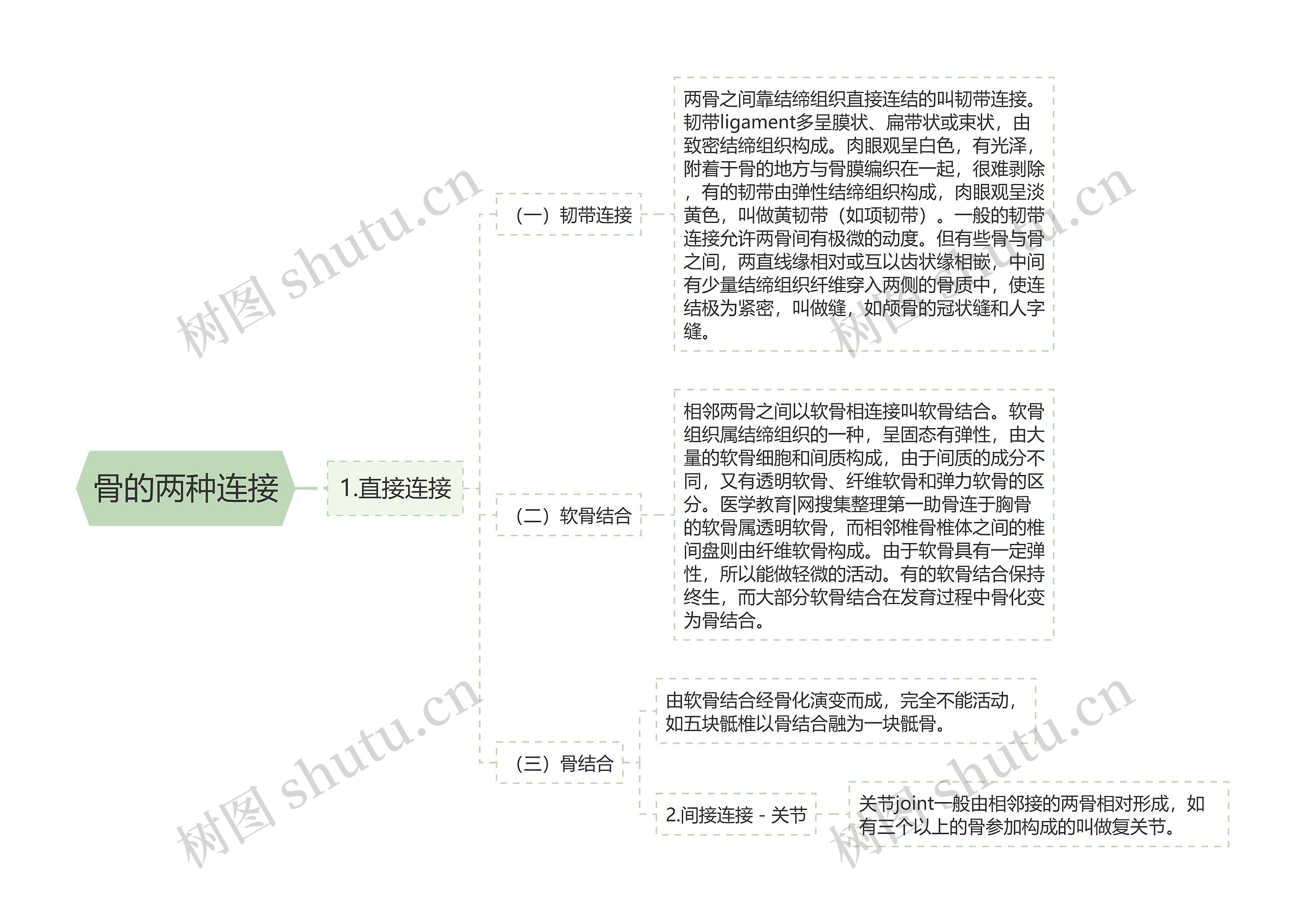 骨的两种连接