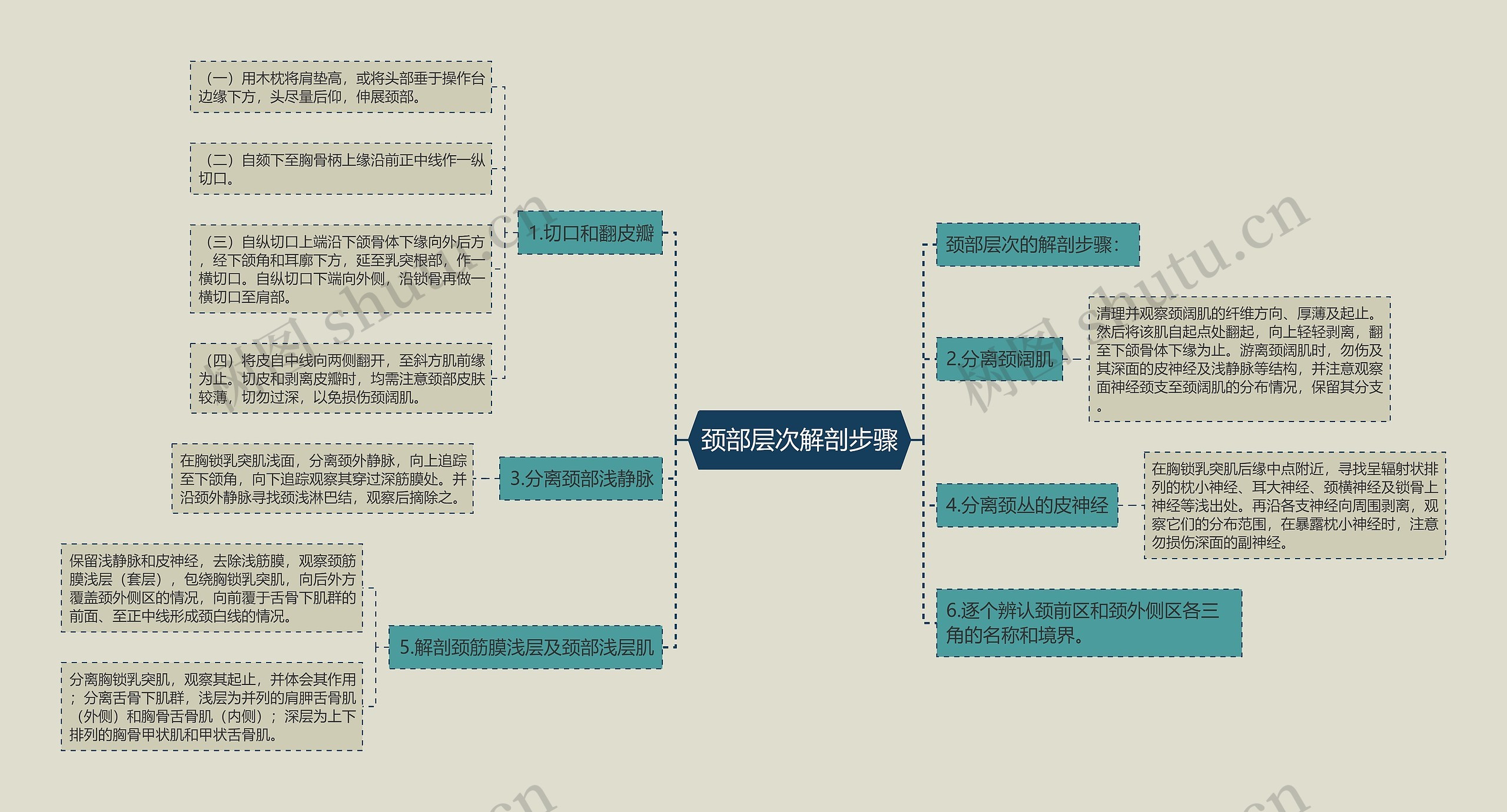 颈部层次解剖步骤